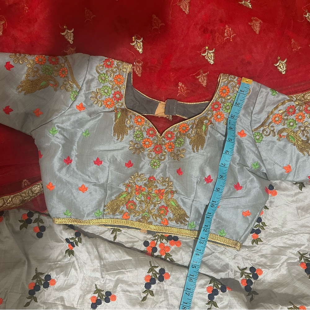 Indian Lehenga Elegant Blue Gray and Red Embroidered Blouse Skirt Desi Dupatta